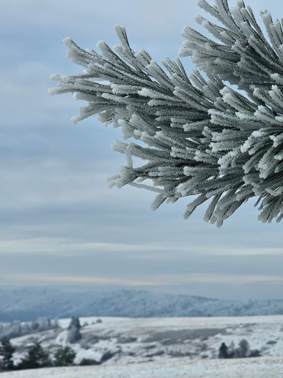 Natural landscape, Winter