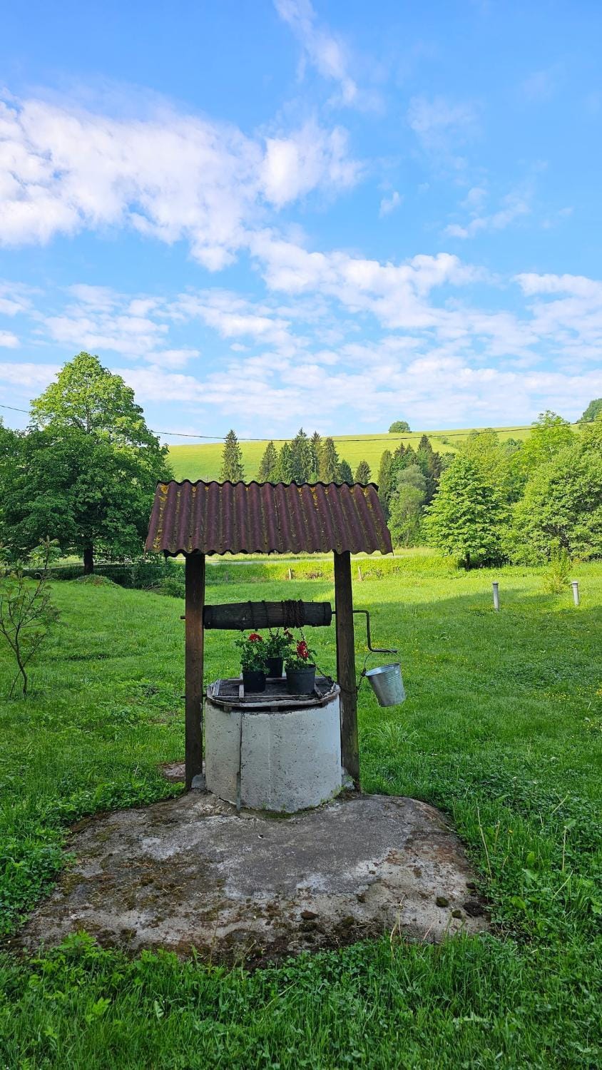 Spring, Natural landscape, Garden, Garden view