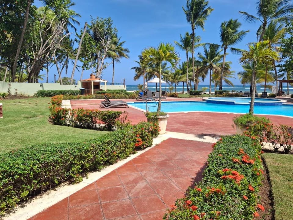 Day, Natural landscape, Garden, Beach, Garden view, Pool view, Swimming pool, sunbed