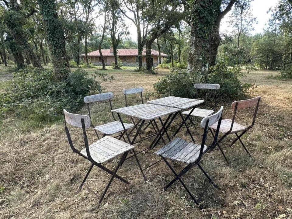 Le résinier House in Nouvelle-Aquitaine