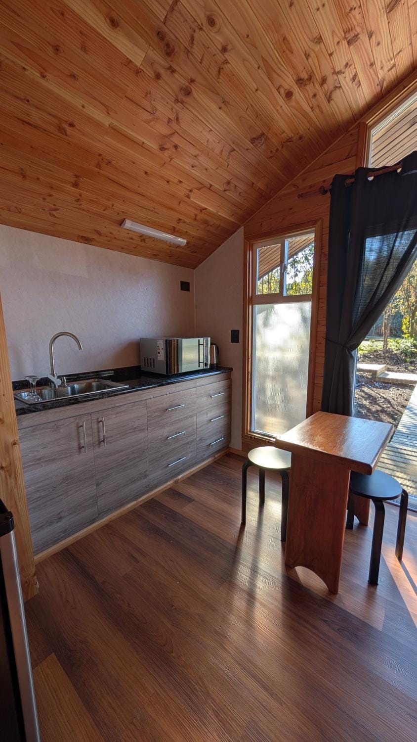 Kitchen or kitchenette, kitchen