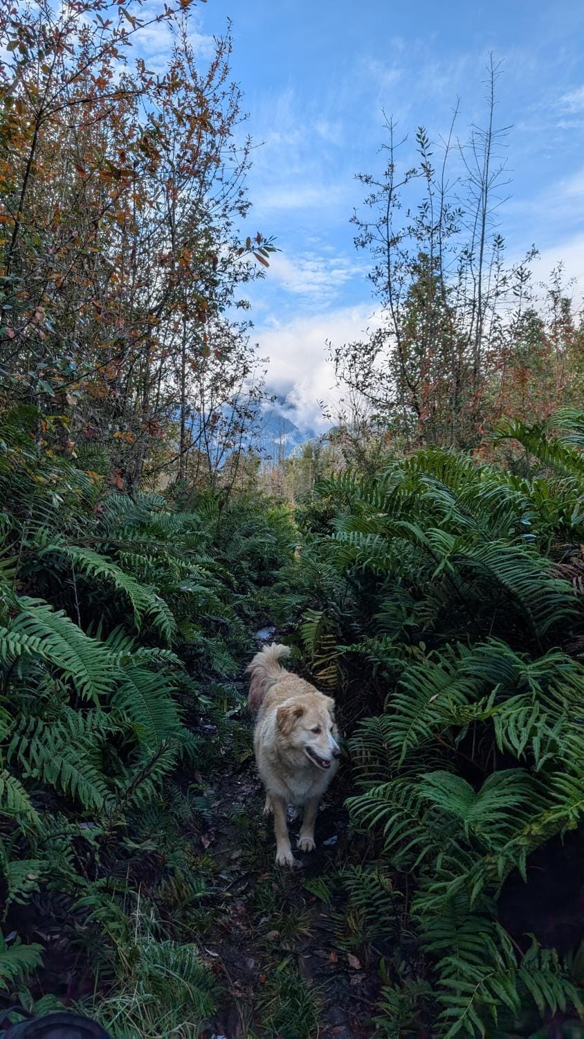 Hiking, Hiking