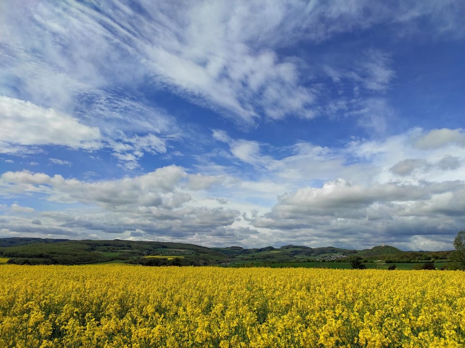 Natural landscape