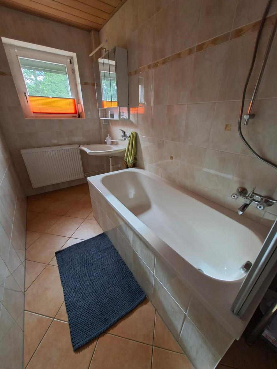 Ferienhaus Frieda House in Saxony