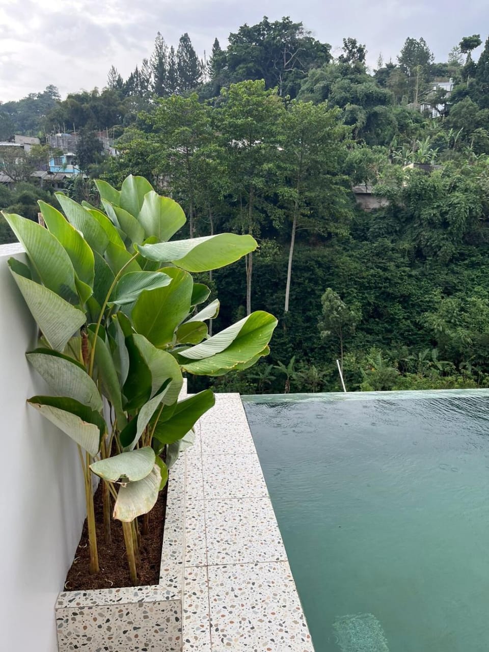 Natural landscape, View (from property/room), Pool view, Swimming pool