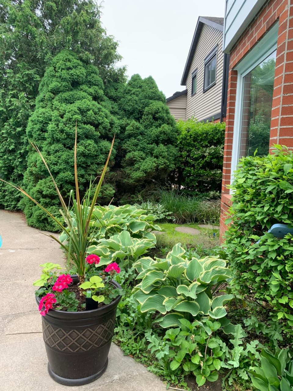 Garden, Garden view