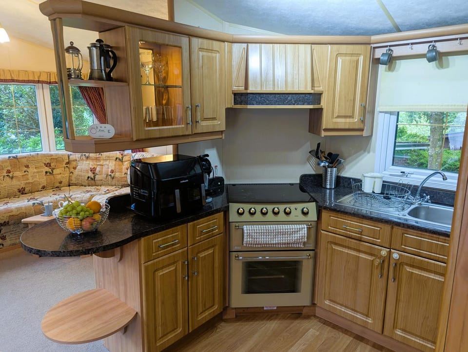 Coffee/tea facilities, Kitchen or kitchenette, oven, stove