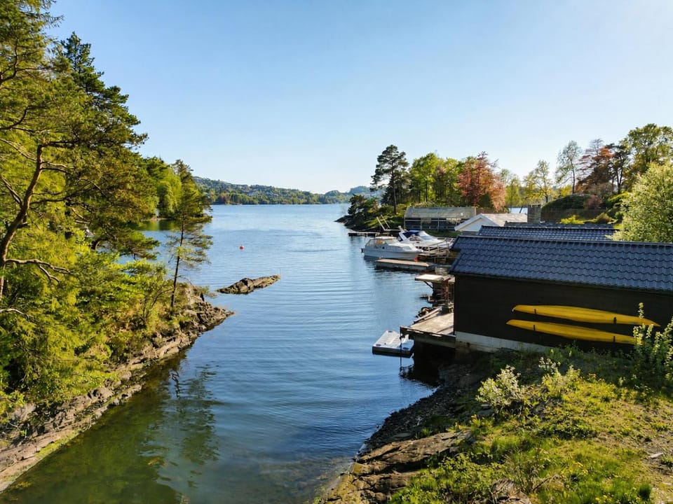 Natural landscape, View (from property/room), Lake view
