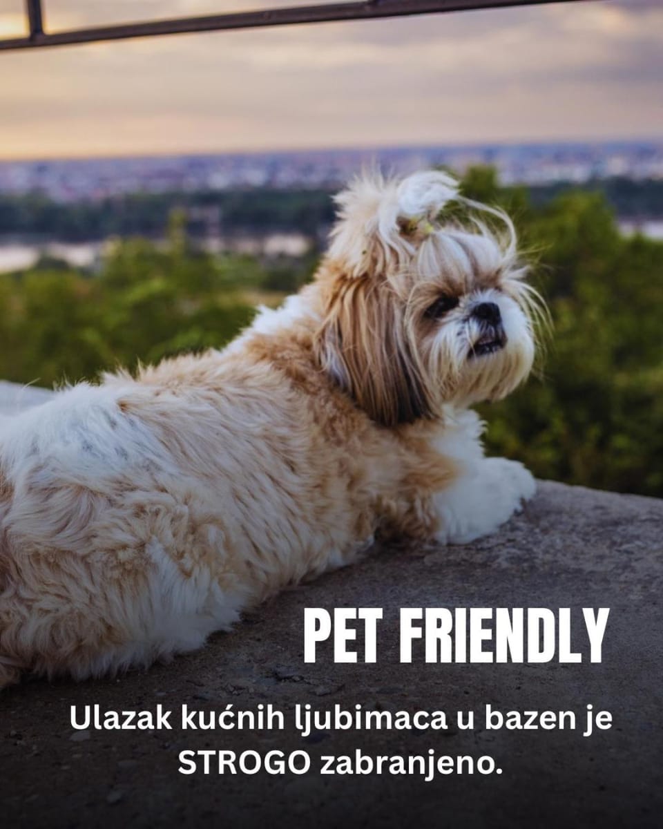 Pets