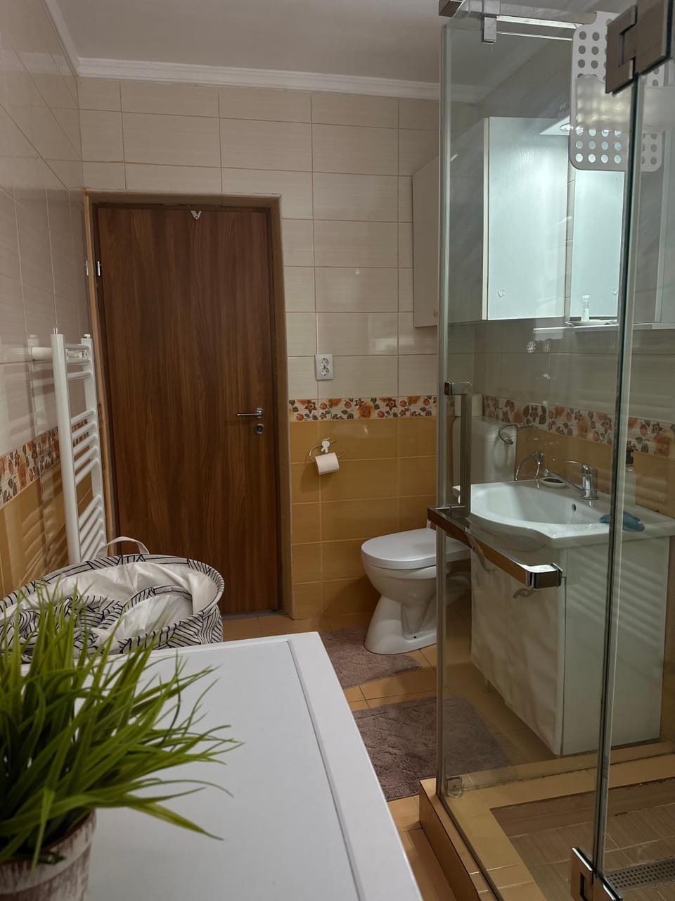 Emina Apartment Apartment in Brasov