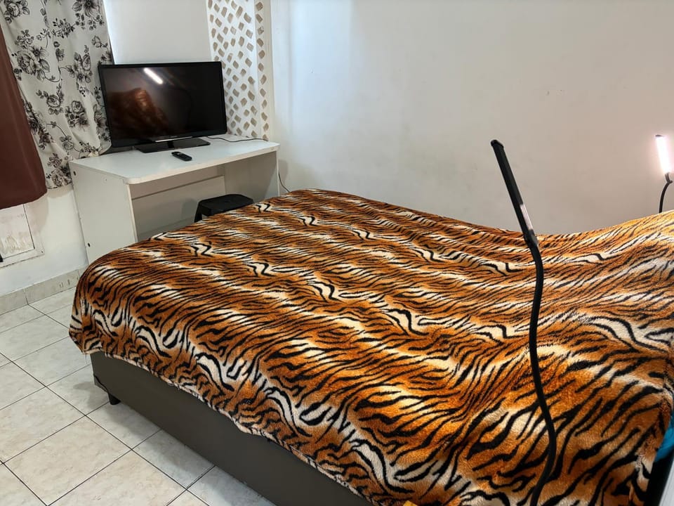 Bed, TV and multimedia, Photo of the whole room