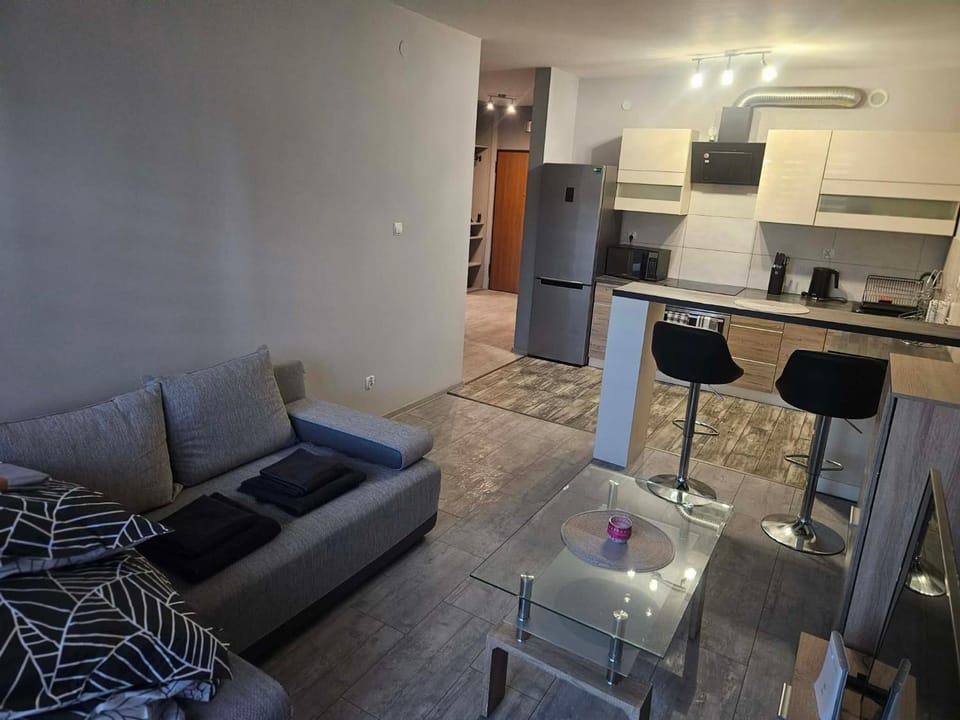 Apartament w centrum miasta Apartment in Poland