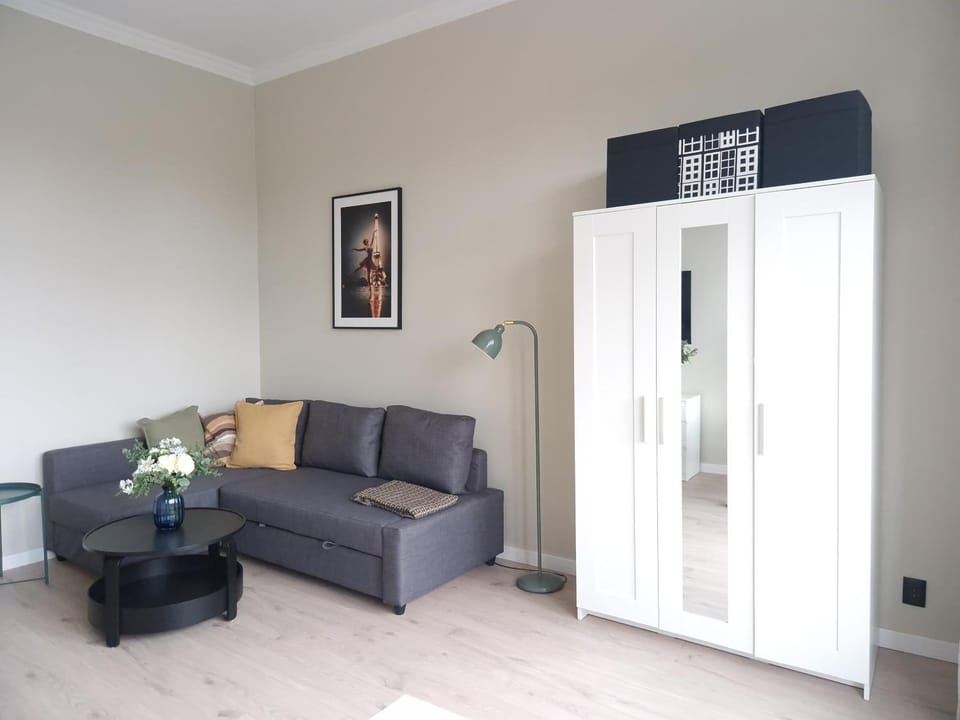 Living room, Photo of the whole room, Decorative detail, locker, wardrobe