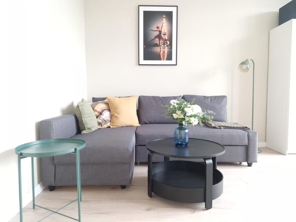 Living room, Photo of the whole room, Decorative detail, wardrobe