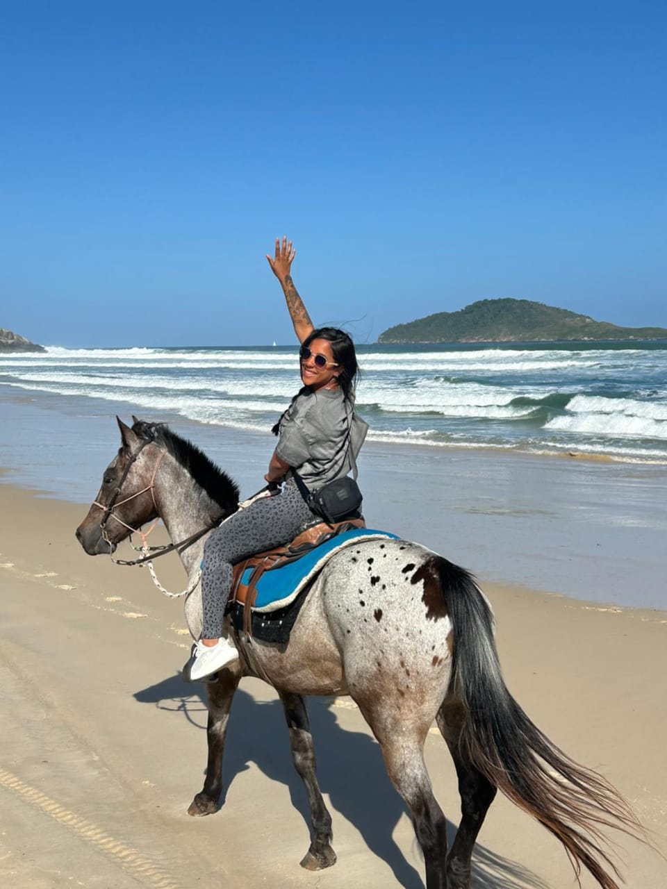 Farm Muquem House in Florianopolis