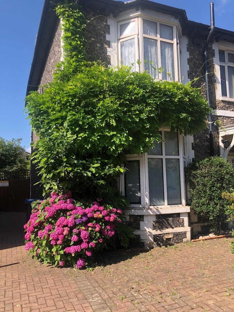 Rectory Cottage Bed and Breakfast in Croydon