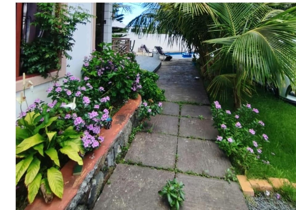 Property building, Garden