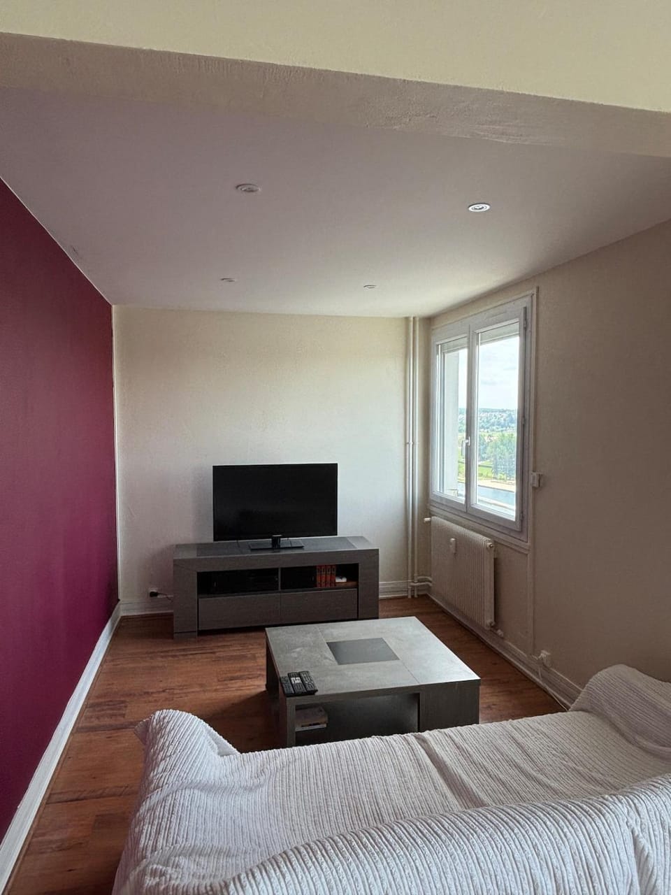 Appartement vue lac dAllier Apartment in Auvergne-Rhône-Alpes