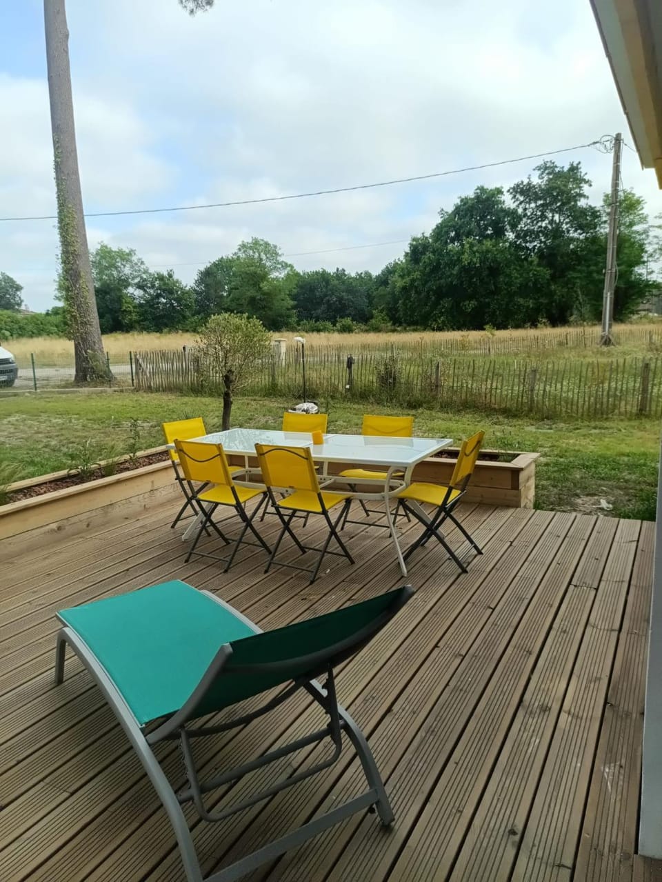 Patio, Garden