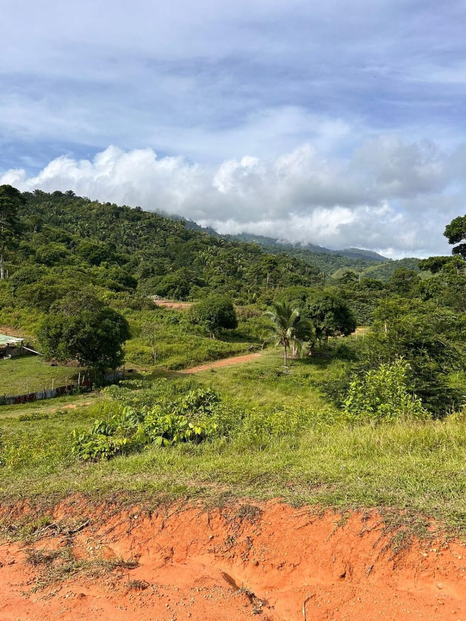 Cuarteria Negra Walking distance to Beach Restaurants Pool Apartment in Corozal District