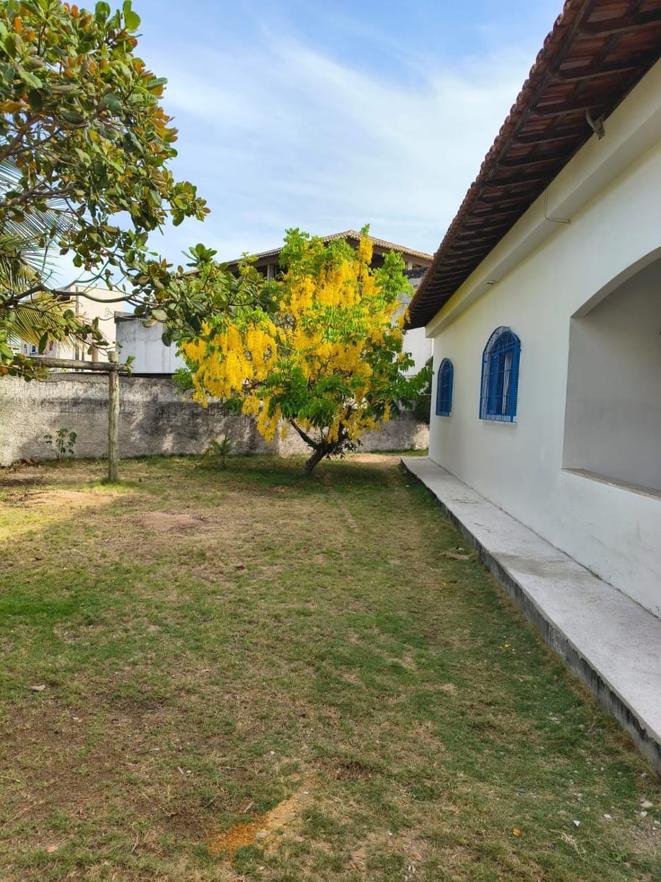 Garden, Balcony/Terrace