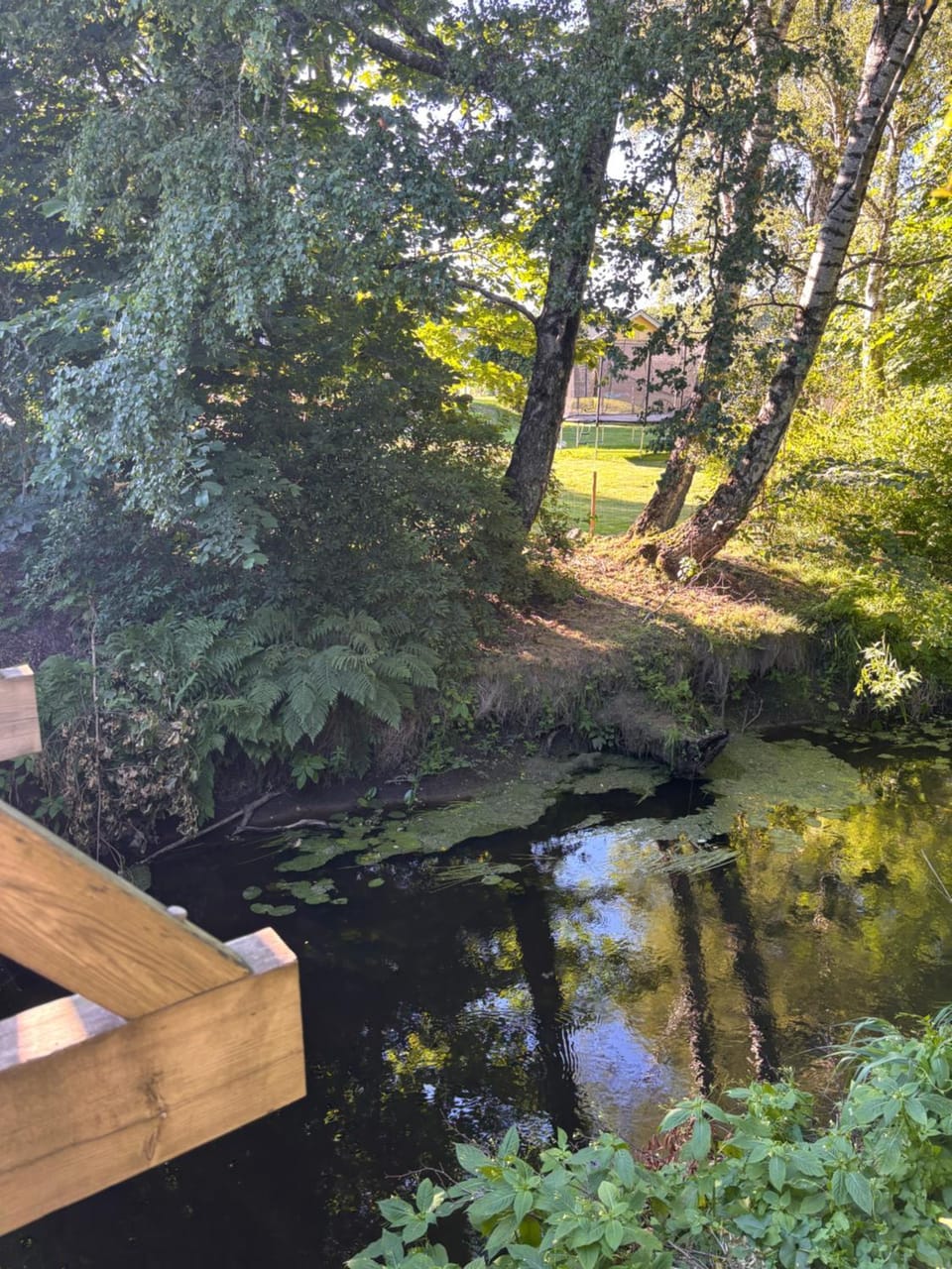 Garden, View (from property/room)