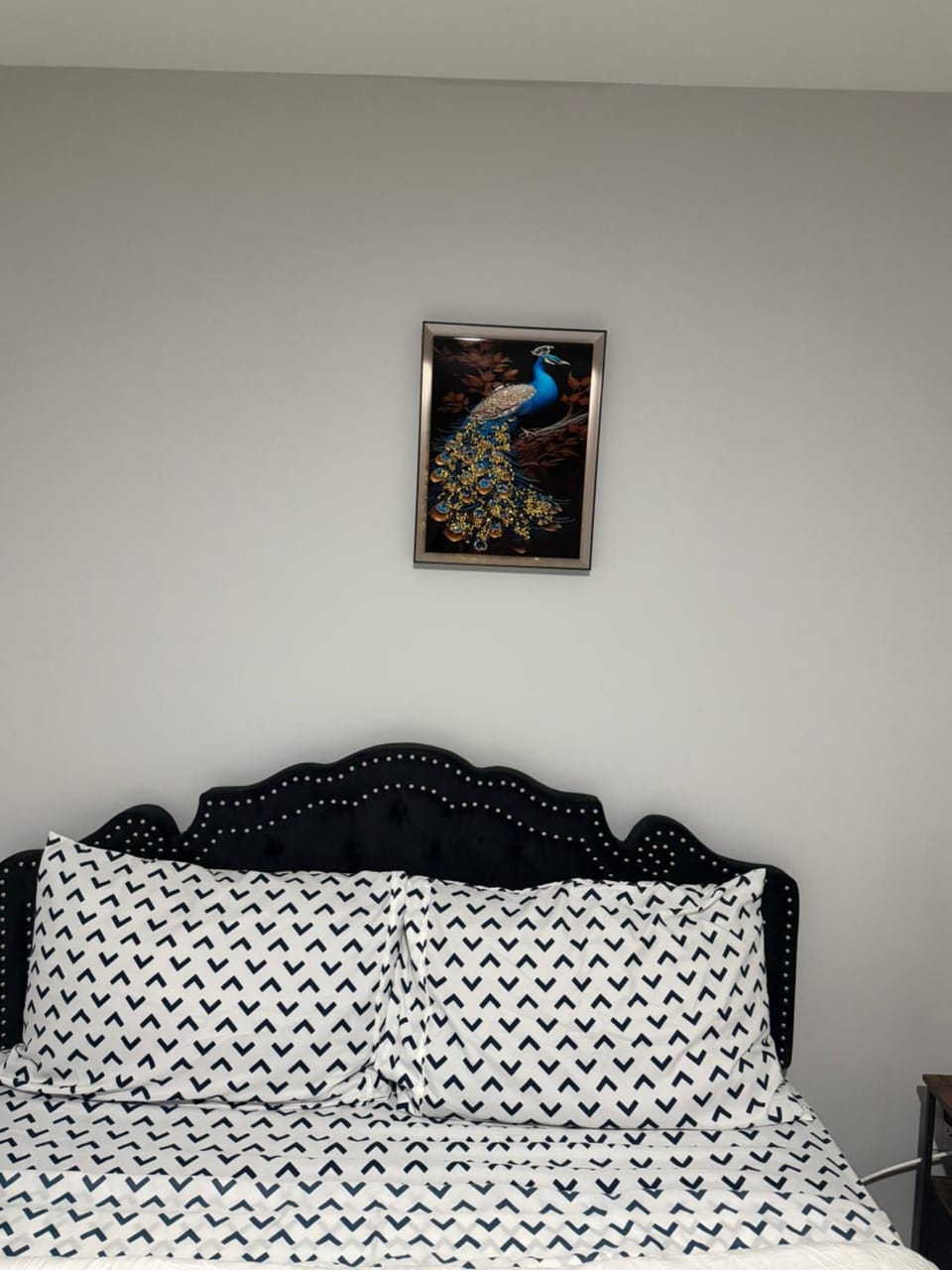Evergreen Cozy Newly Updated Master Bedroom Private Bathroom Bed and Breakfast in Newark