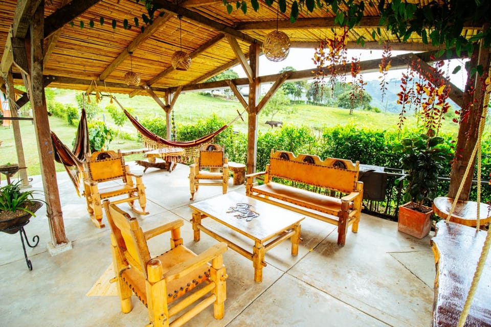 View (from property/room), Living room, Area and facilities