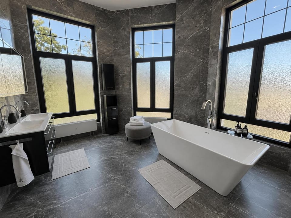 White House Meerane - Loft Sky Apartment in Saxony