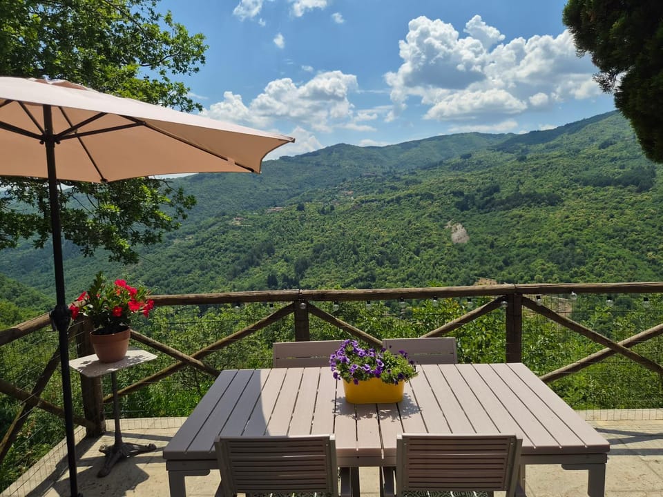 Balcony/Terrace, Balcony/Terrace