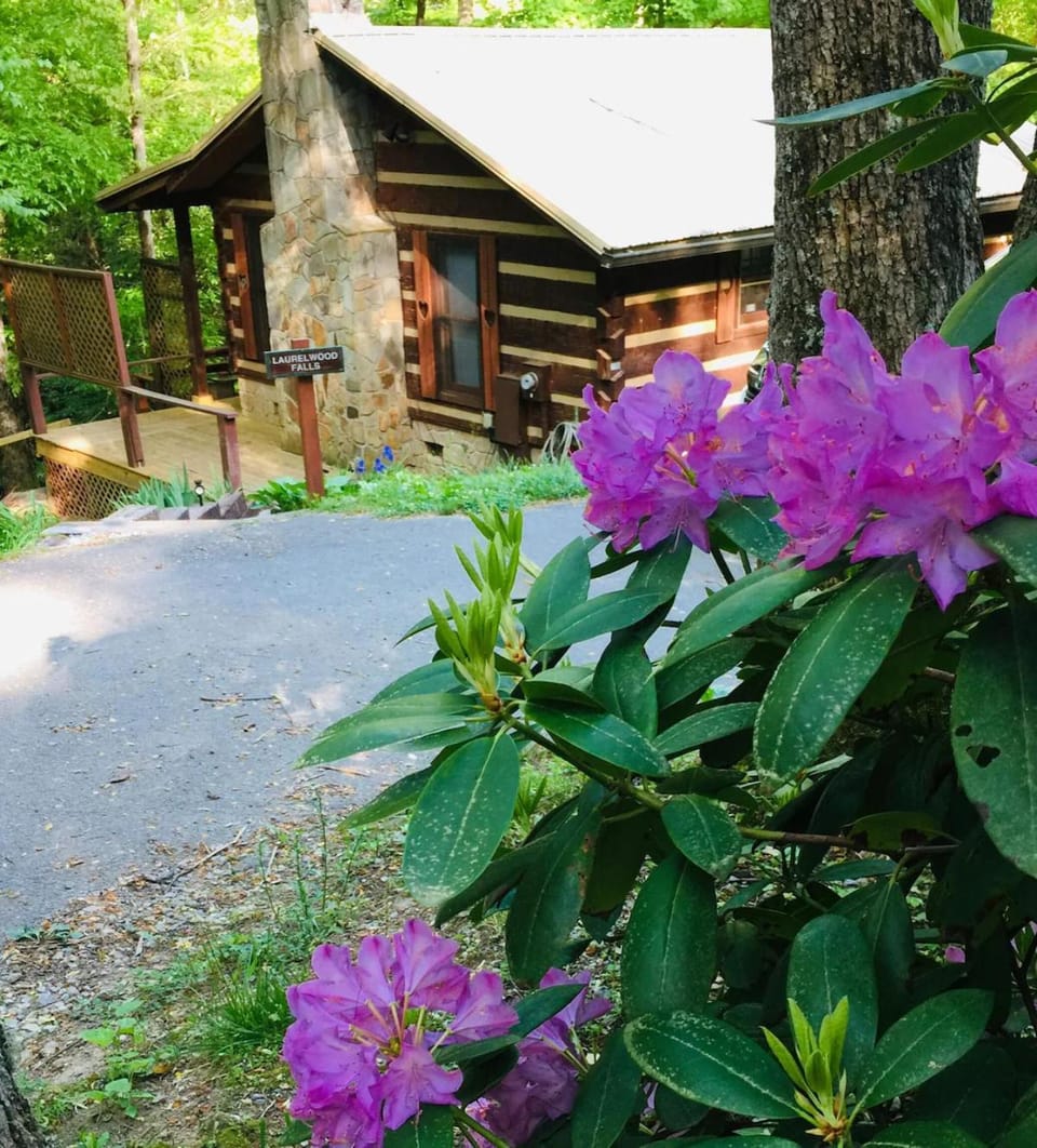 Laurelwood Falls Cabin Cabin in Cosby