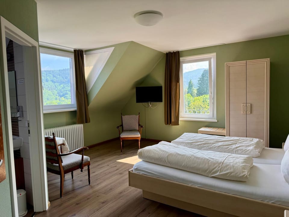 Bed, TV and multimedia, Photo of the whole room, Mountain view, wardrobe