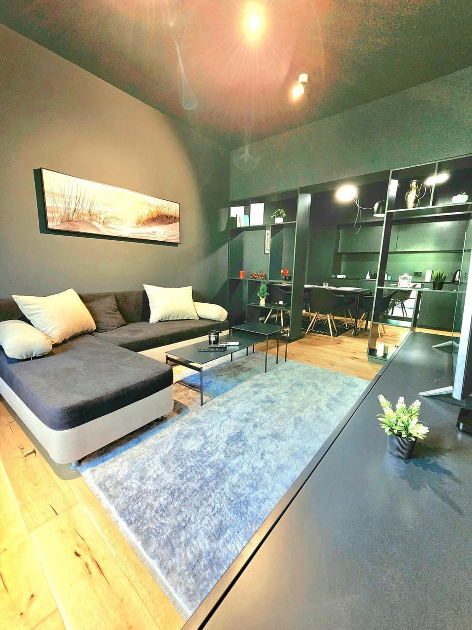 Elegant Oasis Top Center,NDK,Vitosha Blvd Apartment in Sofia