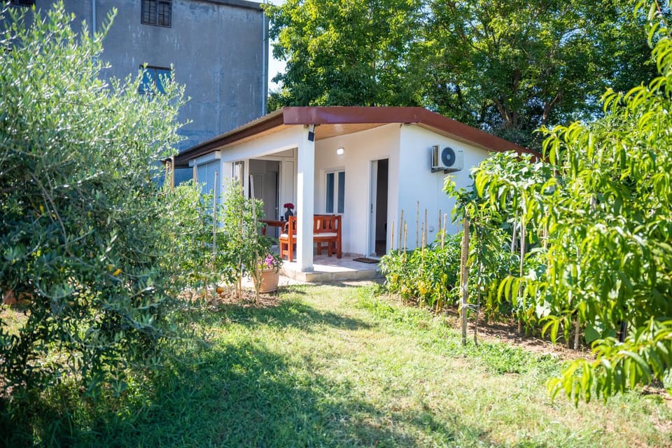 Day, Garden