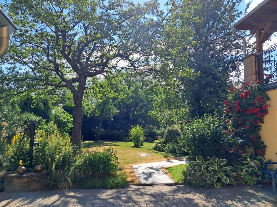 Garden view