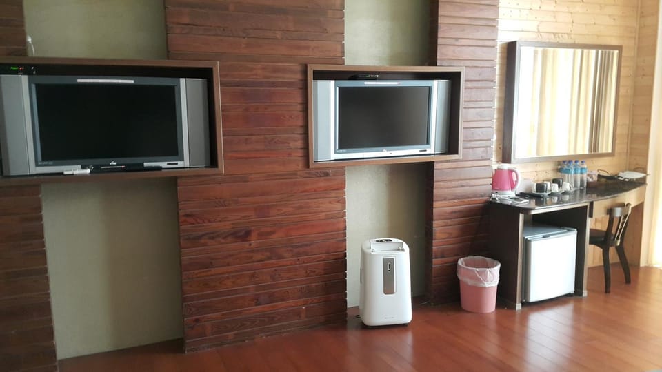 Communal lounge/ TV room, TV and multimedia