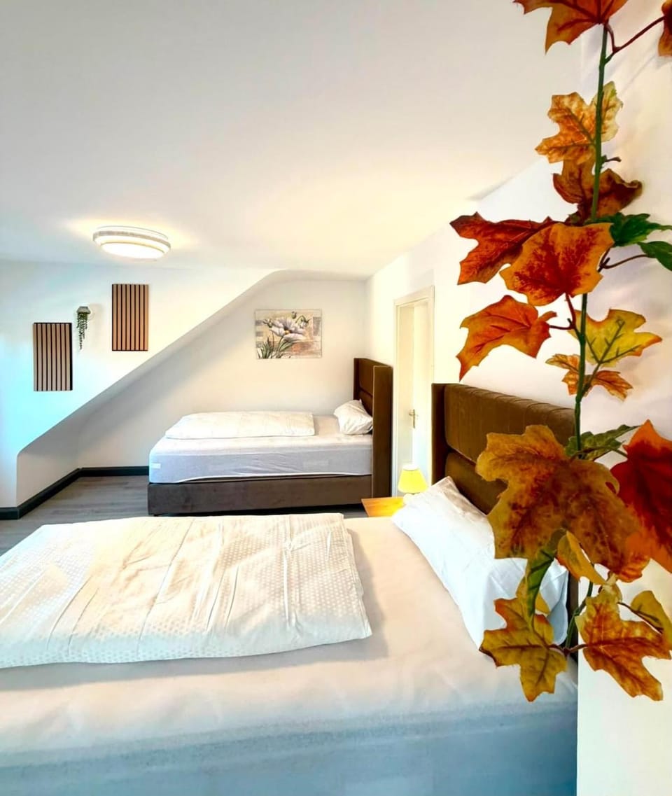 Comfy Apartment Zentrum nähe - Renoviert & Modernisiert Apartment in Saarbrücken