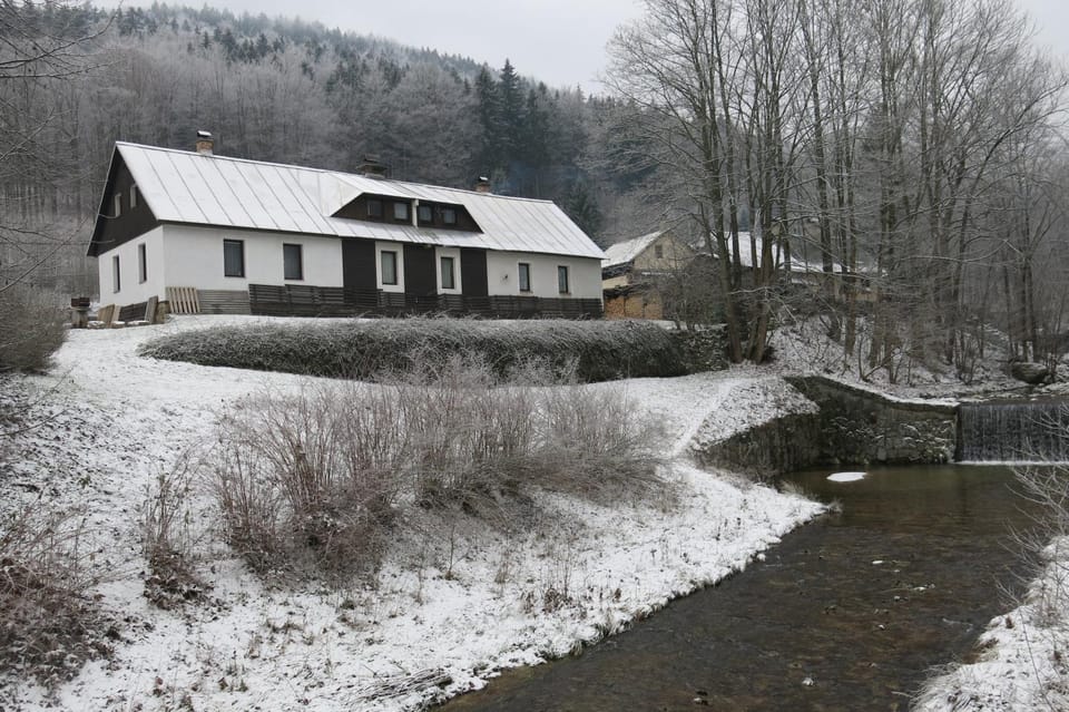 Property building, Neighbourhood, Natural landscape, Winter, Garden