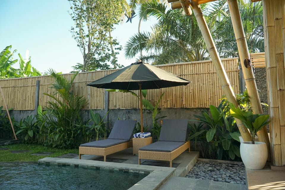 sunbed