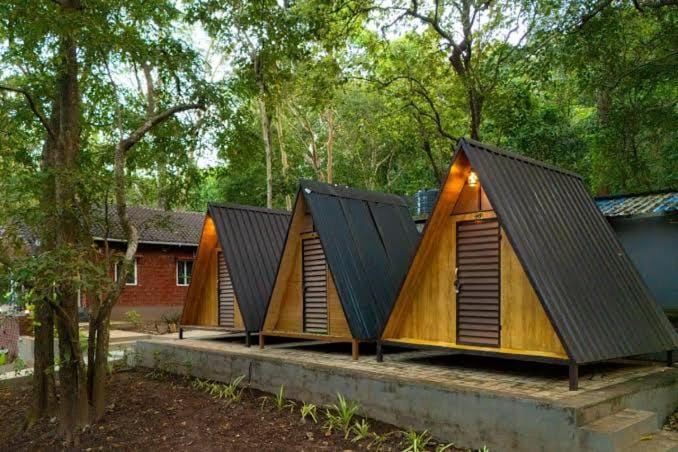 Rain Forest Jungle Stay Hotel in Karnataka