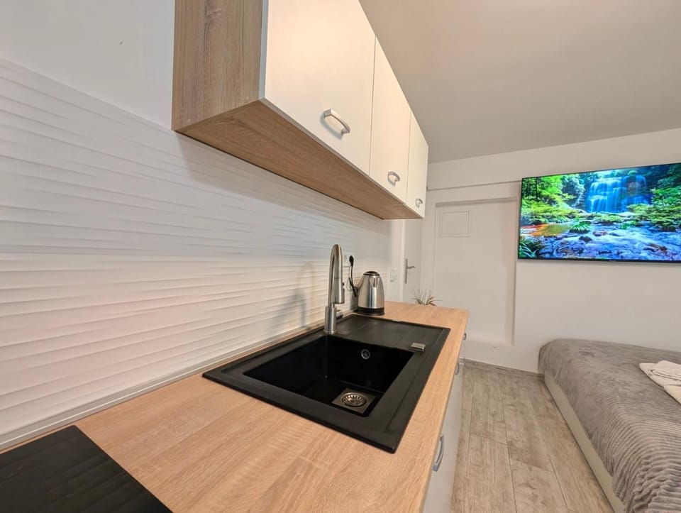 Cozy Ground Level Studio Apartment in City of Zagreb