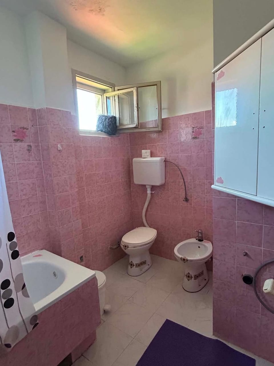 Apartman Lotos Apartment in Serbia