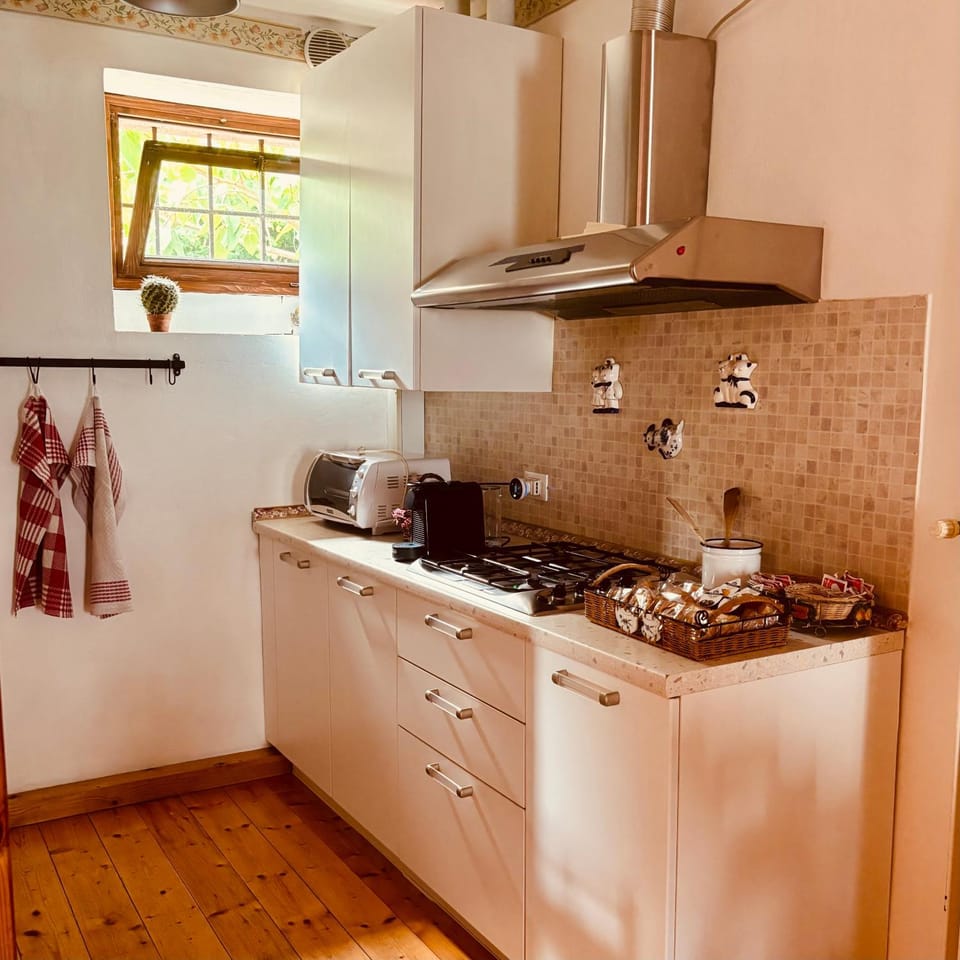 Coffee/tea facilities, Kitchen or kitchenette, stove