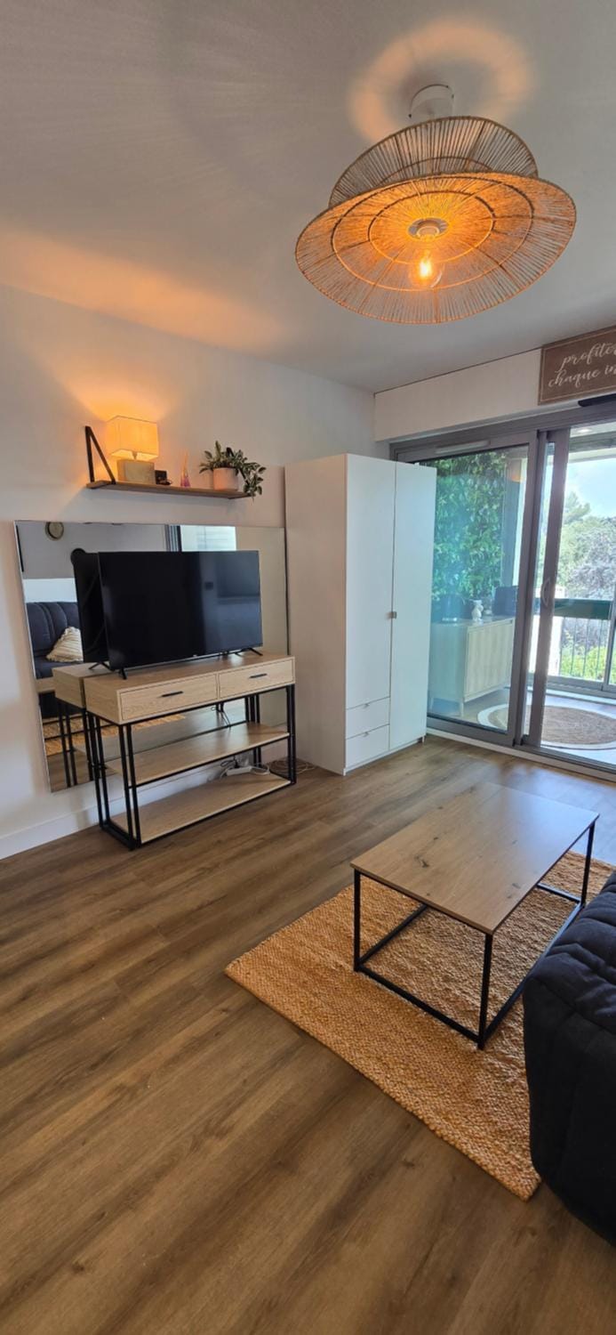 L'escale Bleue Apartment in Cagnes-sur-Mer