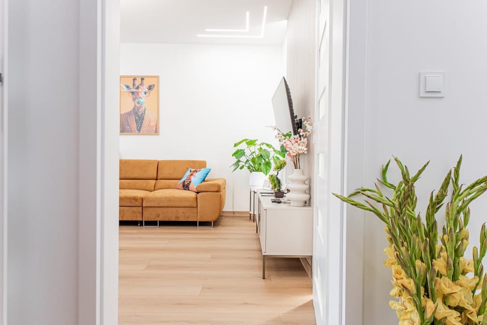 Living room, Photo of the whole room, Seating area