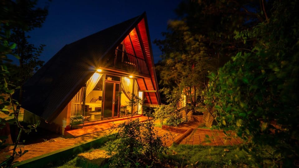 Property building, Night, Garden, Garden view