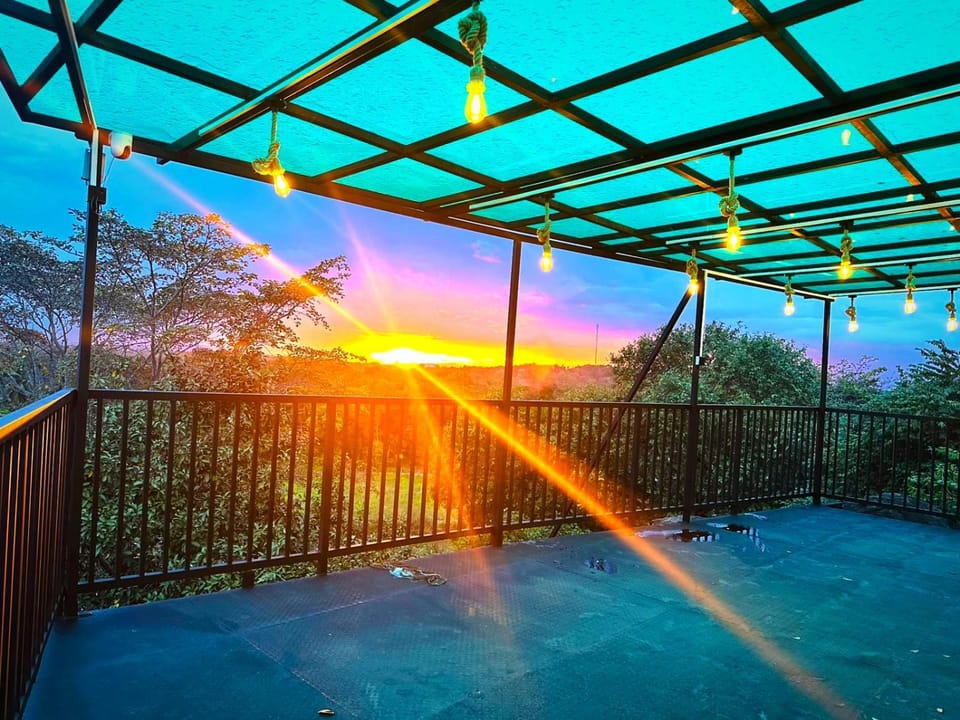 Neighbourhood, Natural landscape, Summer, Sunrise, sunbed