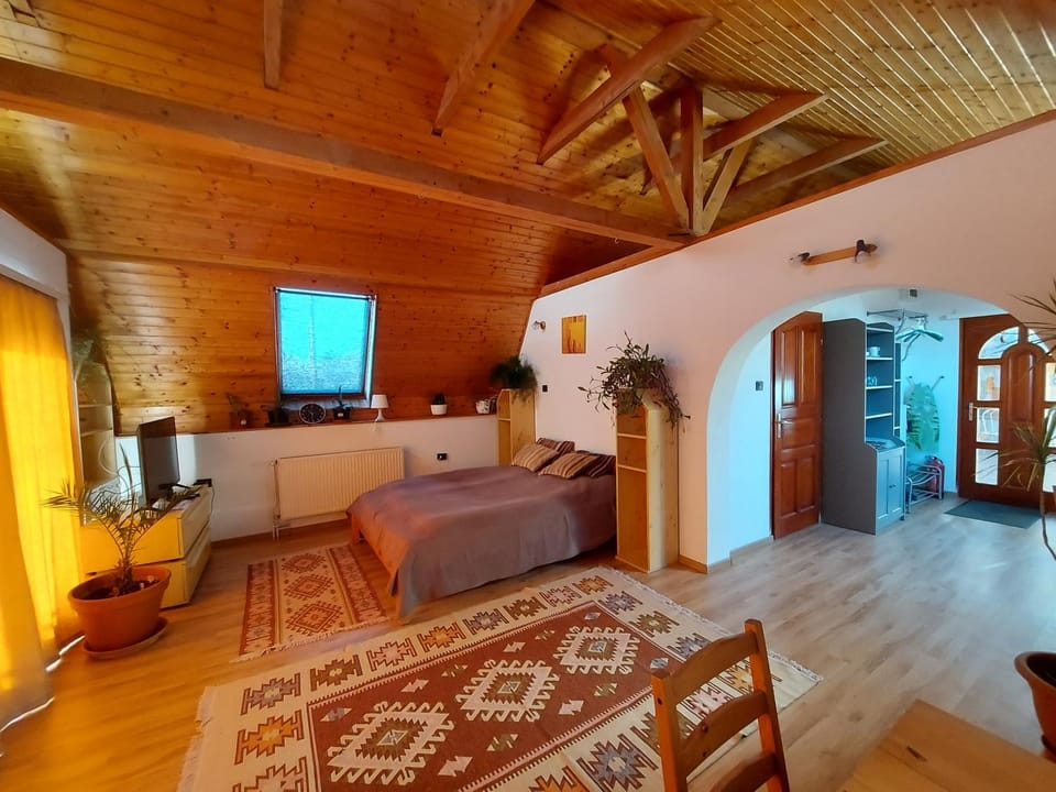 Bed, TV and multimedia, Living room, Photo of the whole room, Bedroom
