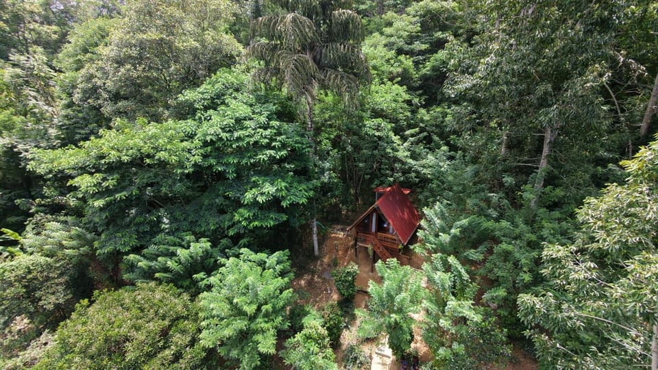 Glenora Wood Cabin Cabin in Uva Province, Sri Lanka