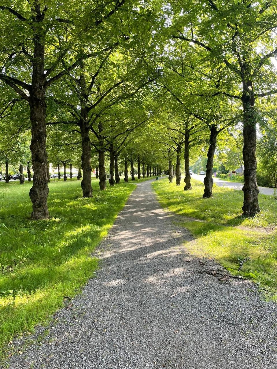 Natural landscape